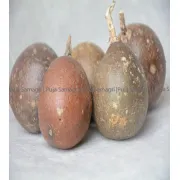 Puja Samagri Bel Dana (बेल दाना) 5pc (For Puja)
